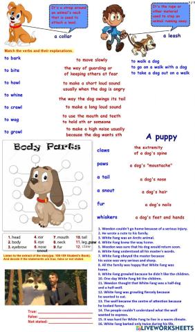 Spotlight 11. Jack London White Fang