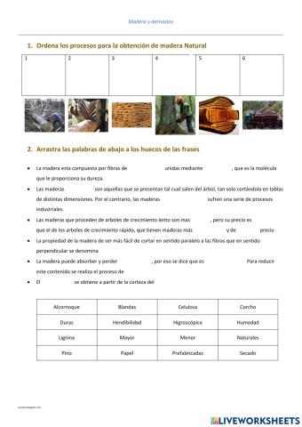 Madera y derivados