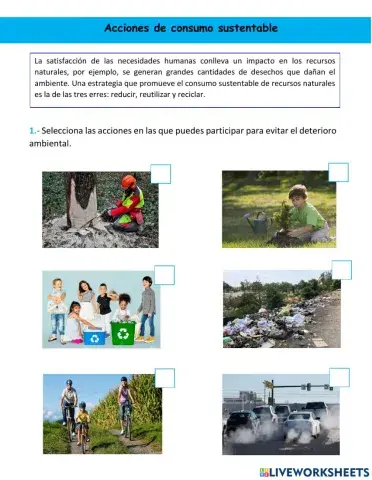 Acciones de consumo sustentable