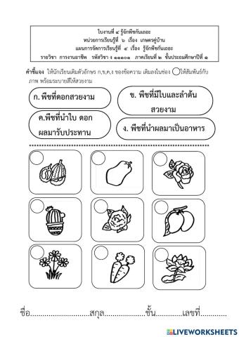 รู้จักพืชกันเถอะ