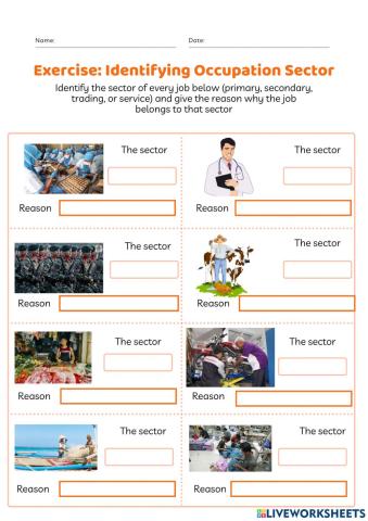 Identifying Occupation Sector