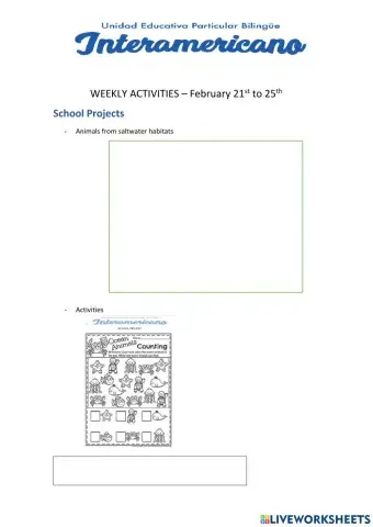 Weekly activities 41