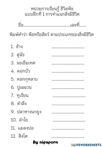 สิ่งมีชีวิต