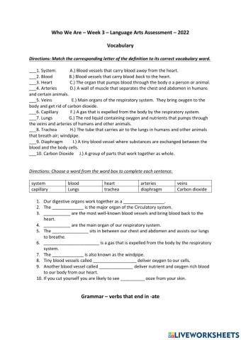 Who we are week 3 language arts assessment