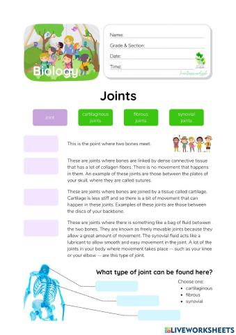 Types of Joints - HunterWoodsPH.com Worksheet