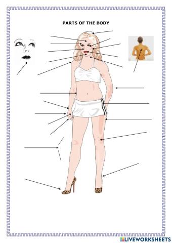 Parts of the body
