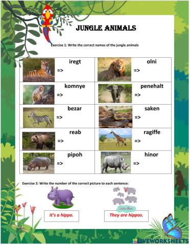 Jungle animals 2