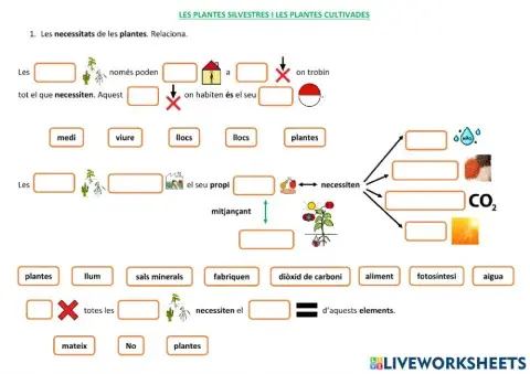 Plantes silvestres i cultivades. Necessitats de les plantes.