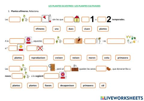 LES PLANTES SILVESTRES I LES PLANTES CULTIVADES. Les plantes efímeres.