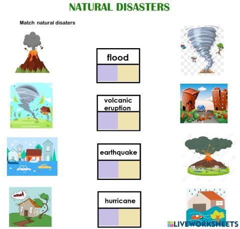 Natural disasters