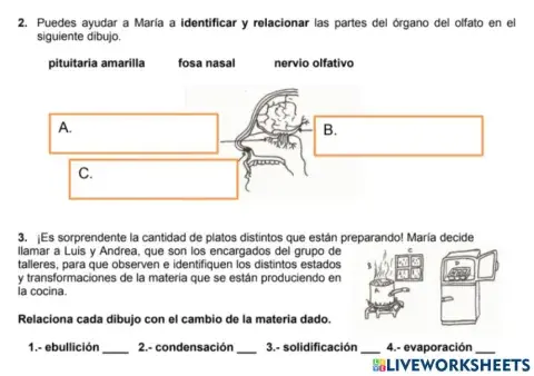 Prueba CAM 6º: Competencias básicas ciencias y tecnología 2 y 3
