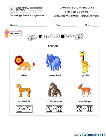 Grammar: Using past simple: Irregular verbs