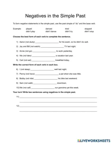 Negatives in the Simple Past