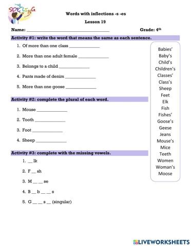 Words with inflections -s -es