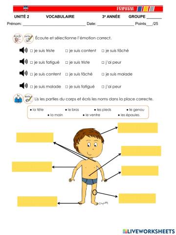 3e année Examen Unité 2