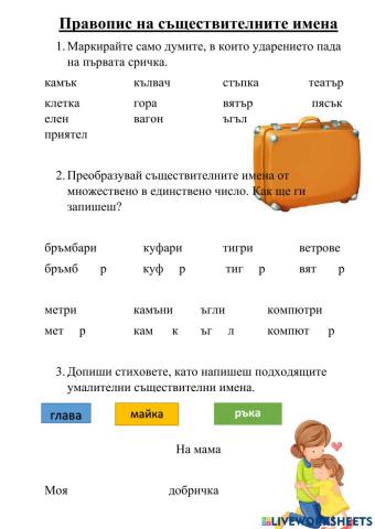 Правопис на съществителното име