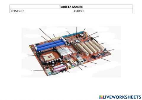 Tarjeta Madre-Motherboard