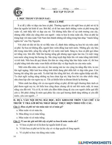 BTCT Tiếng Việt tuần 25