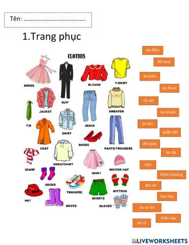 Bài ôn tập chủ đề Trang phục