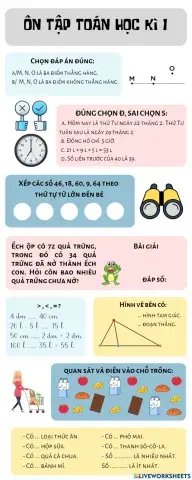 Ôn tập toán học kì 1