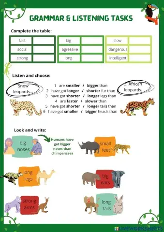 Comparative adjectives: listening and grammar