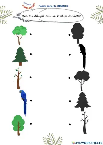 Unir sombras en Pluma Blanca