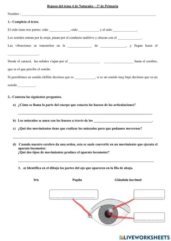 Repaso tema 4 Naturales - 3º Primaria