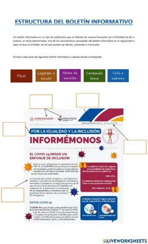 Estructura del boletín informativo