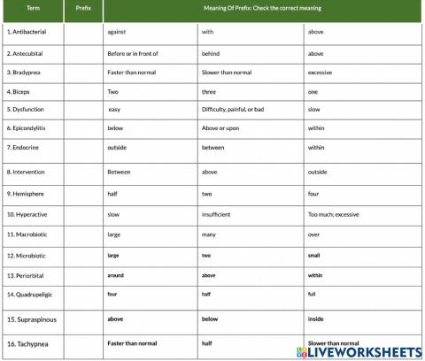Practice with prefixes