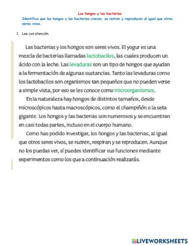 HONGOS Y BACTERIAS