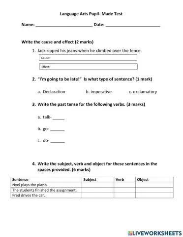 Language Arts Pupil- Made Test