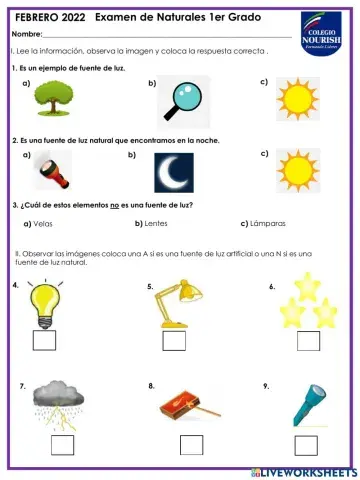 Examen de naturales 1er grado