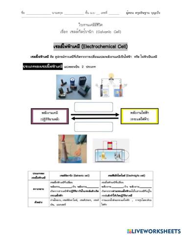 Galvanic Cell