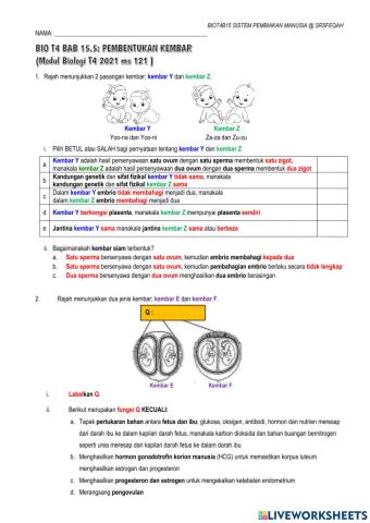 15.5 Pembentukan Kembar