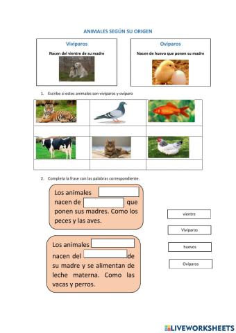 Animales según su origen