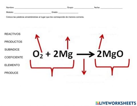 Elementos de una ecuación química