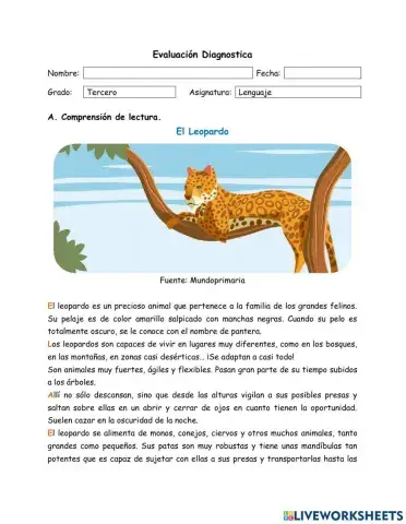 Evaluación Diagnóstica Lenguaje 3