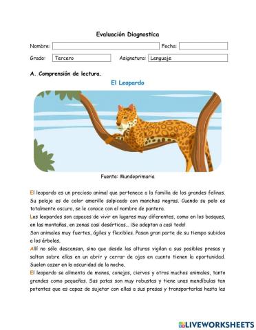 Evaluación Diagnóstica Lenguaje 3