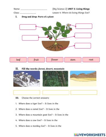 Big Science 2 Where do living things live?