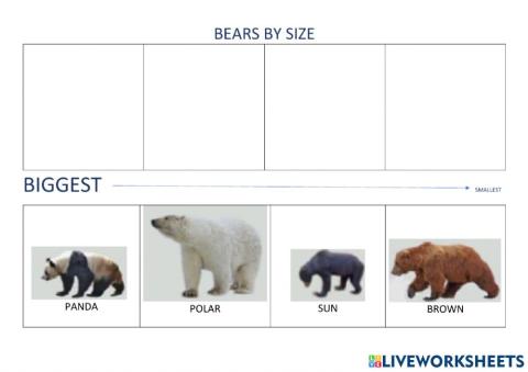 Bears by size