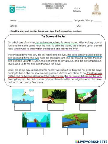 Grade 3 quiz 6 february