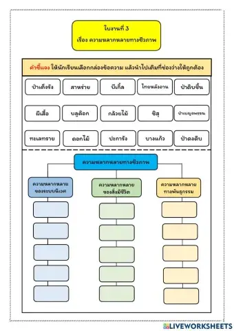 ใบงานที่ 3 ความหลากหลายทางชีวภาพ