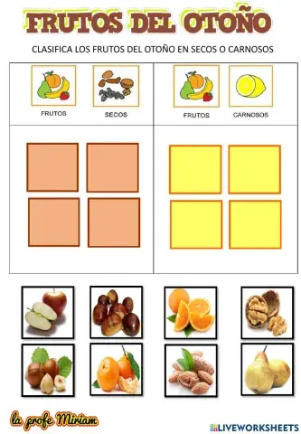 Frutos secos y frutos carnosos