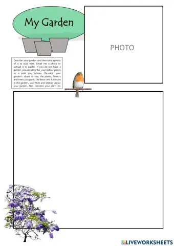 Describe your garden