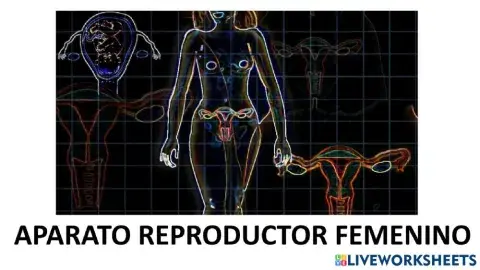 Aparato reproductor femenino