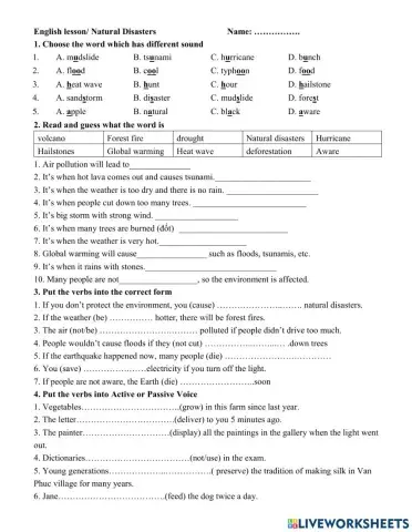 Grade 8- Unit 9- Natural Disasters