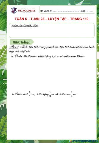 Toán 5 - Luyện tập - Trang 110