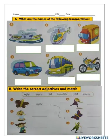 Transporatation and Pets