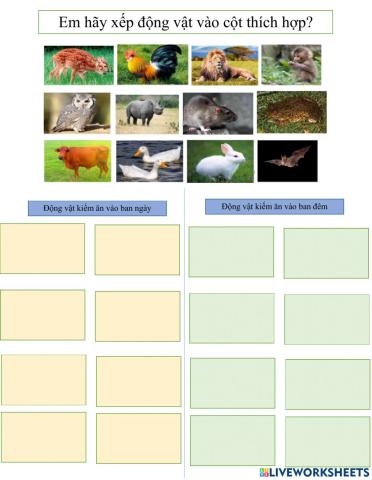 Ánh sáng cần cho sự sống