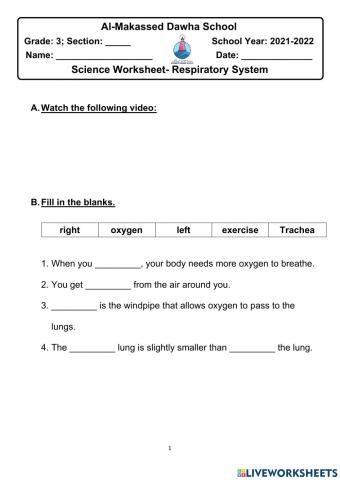 Grade 3 worksheet science Respiratory System